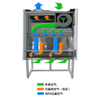 二級B2生物安全柜原理