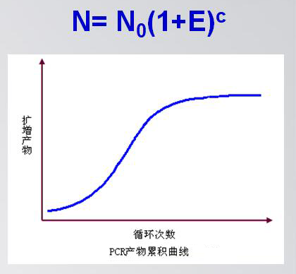 PCR產(chǎn)物累積曲線