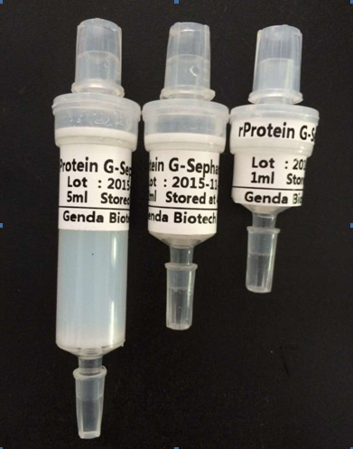 <b>重組蛋白G預(yù)裝柱（rec-Protein G Column）</b>